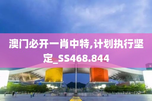 澳门必开一肖中特,计划执行坚定_SS468.844