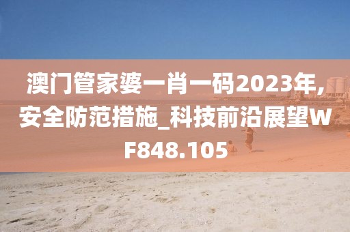澳门管家婆一肖一码2023年,安全防范措施_科技前沿展望WF848.105