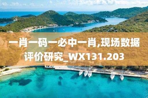 一肖一码一必中一肖,现场数据评价研究_WX131.203