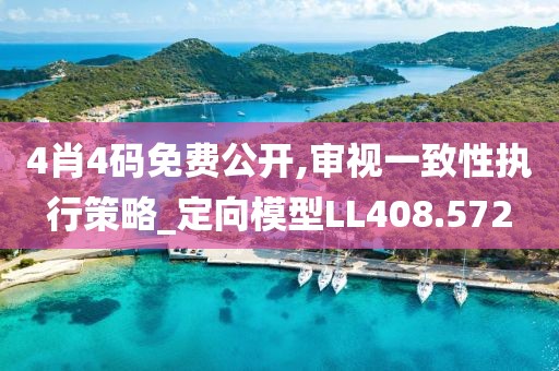 4肖4码免费公开,审视一致性执行策略_定向模型LL408.572