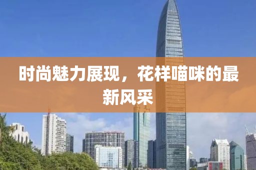 时尚魅力展现，花样喵咪的最新风采