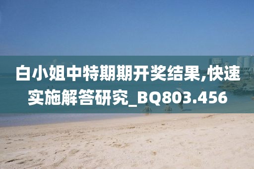 白小姐中特期期开奖结果,快速实施解答研究_BQ803.456