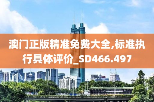 澳门正版精准免费大全,标准执行具体评价_SD466.497