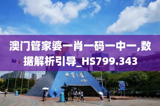 澳门管家婆一肖一码一中一,数据解析引导_HS799.343
