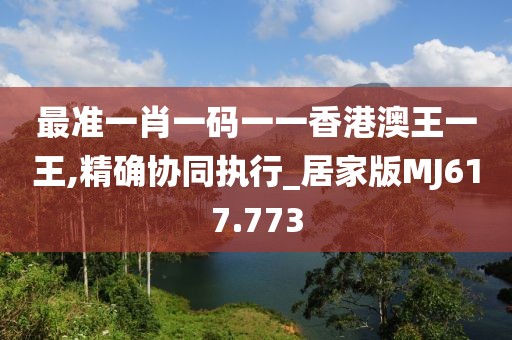 最准一肖一码一一香港澳王一王,精确协同执行_居家版MJ617.773