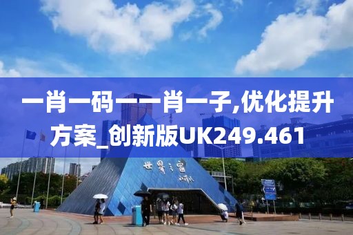 一肖一码一一肖一子,优化提升方案_创新版UK249.461