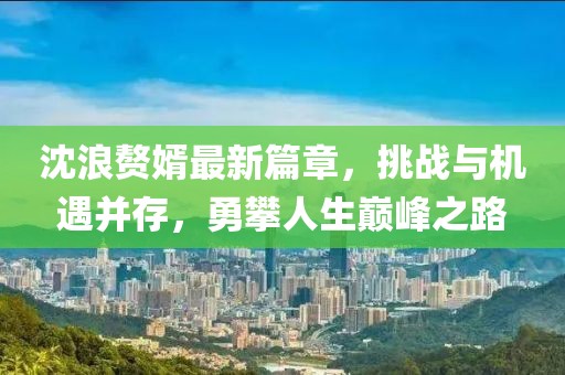 沈浪赘婿最新篇章，挑战与机遇并存，勇攀人生巅峰之路