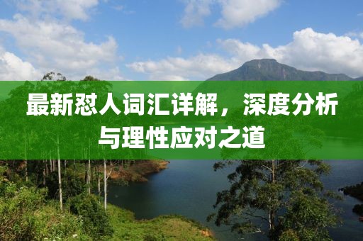 最新怼人词汇详解，深度分析与理性应对之道