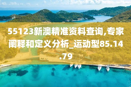 55123新澳精准资料查询,专家阐释和定义分析_运动型85.14.79