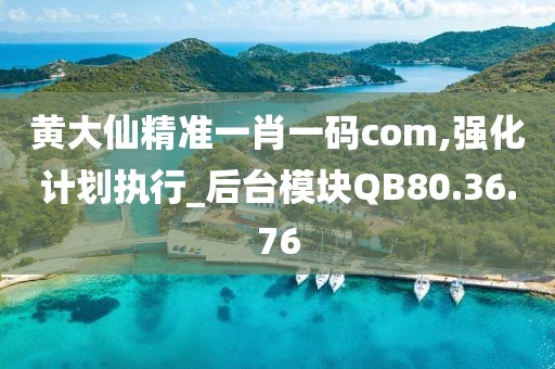 黄大仙精准一肖一码com,强化计划执行_后台模块QB80.36.76