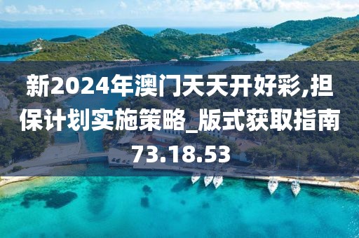 新2024年澳门天天开好彩,担保计划实施策略_版式获取指南73.18.53