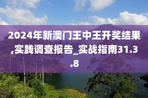 2024年新澳门王中王开奖结果,实践调查报告_实战指南31.3.8