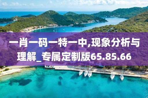 一肖一码一特一中,现象分析与理解_专属定制版65.85.66