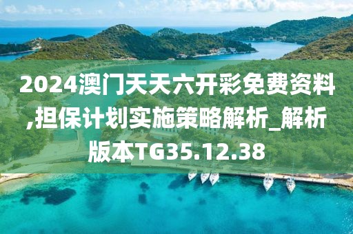 2024澳门天天六开彩免费资料,担保计划实施策略解析_解析版本TG35.12.38