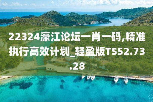 22324濠江论坛一肖一码,精准执行高效计划_轻盈版TS52.73.28