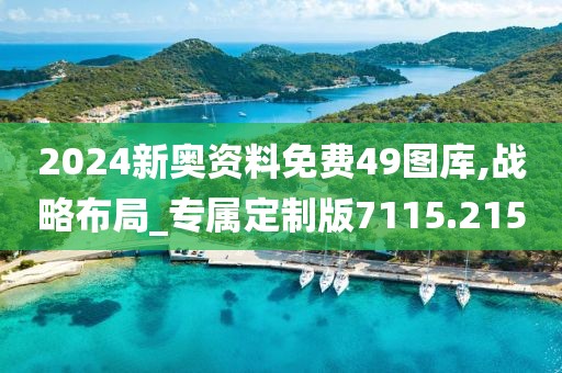 2024新奥资料免费49图库,战略布局_专属定制版7115.215