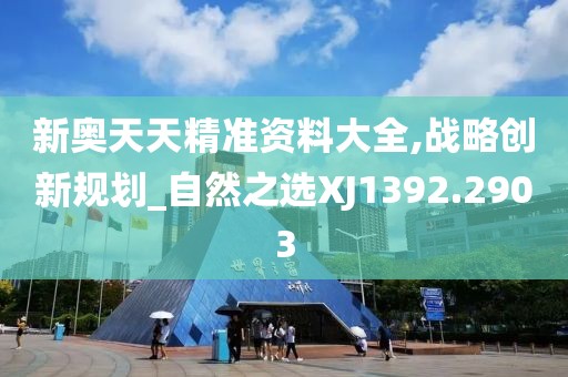 新奥天天精准资料大全,战略创新规划_自然之选XJ1392.2903