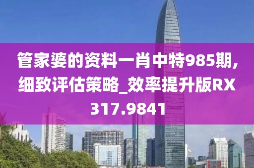 管家婆的资料一肖中特985期,细致评估策略_效率提升版RX317.9841