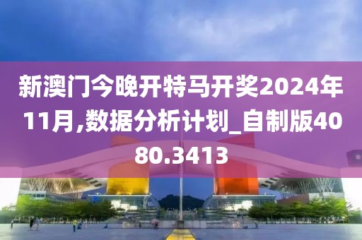 新澳门今晚开特马开奖2024年11月,数据分析计划_自制版4080.3413