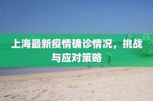 上海最新疫情确诊情况，挑战与应对策略