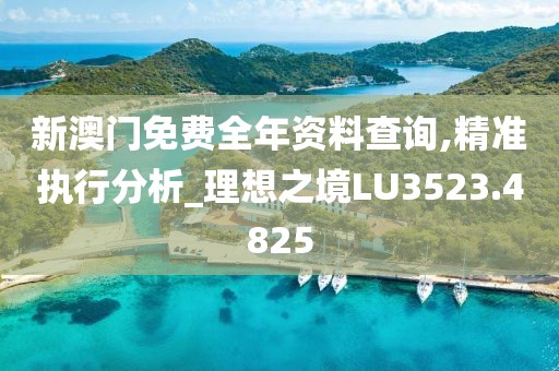 新澳门免费全年资料查询,精准执行分析_理想之境LU3523.4825