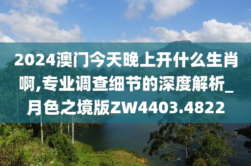 2024澳门今天晚上开什么生肖啊,专业调查细节的深度解析_月色之境版ZW4403.4822