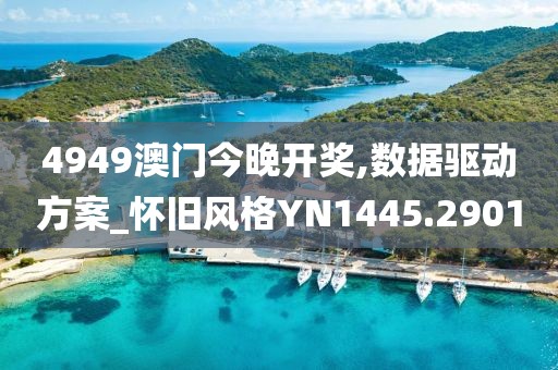 4949澳门今晚开奖,数据驱动方案_怀旧风格YN1445.2901