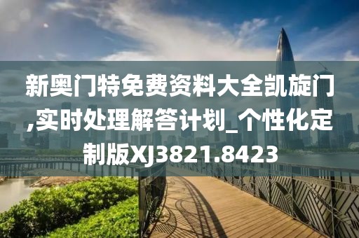 新奥门特免费资料大全凯旋门,实时处理解答计划_个性化定制版XJ3821.8423