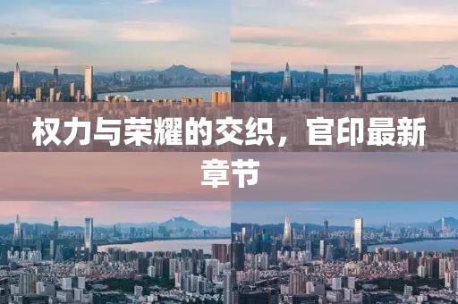 权力与荣耀的交织，官印最新章节