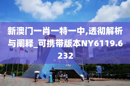 新澳门一肖一特一中,透彻解析与阐释_可携带版本NY6119.6232