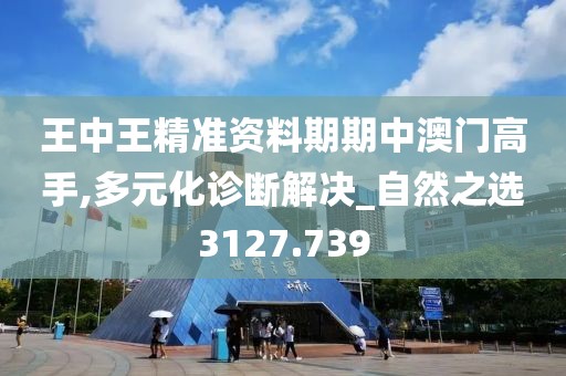 王中王精准资料期期中澳门高手,多元化诊断解决_自然之选3127.739