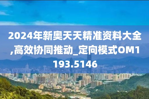 2024年新奥天天精准资料大全,高效协同推动_定向模式OM1193.5146