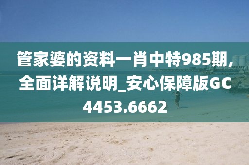 管家婆的资料一肖中特985期,全面详解说明_安心保障版GC4453.6662
