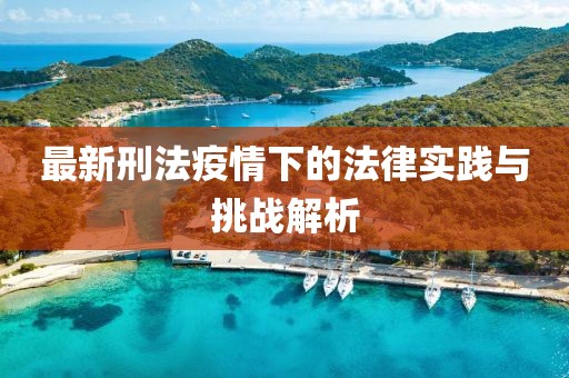 最新刑法疫情下的法律实践与挑战解析