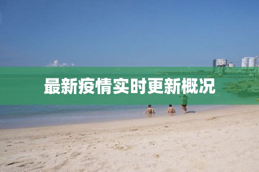 最新疫情实时更新概况