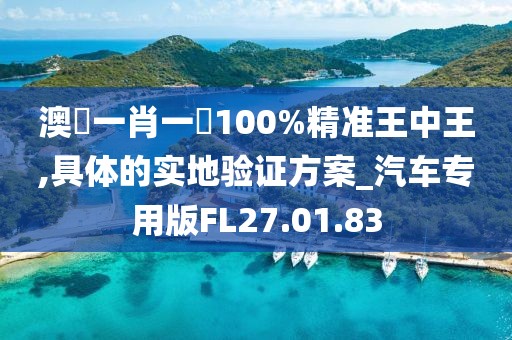 澳門一肖一碼100%精准王中王,具体的实地验证方案_汽车专用版FL27.01.83