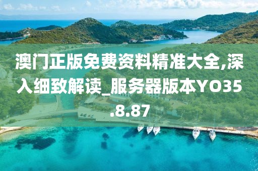 澳门正版免费资料精准大全,深入细致解读_服务器版本YO35.8.87