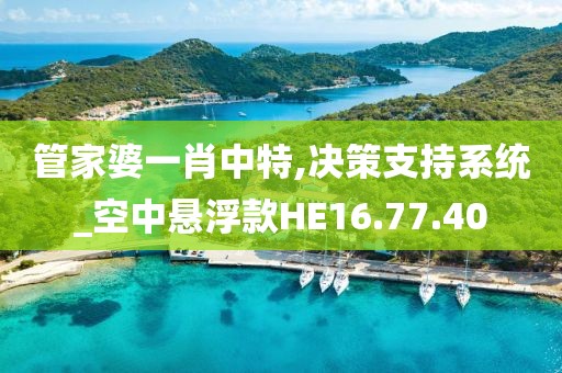 管家婆一肖中特,决策支持系统_空中悬浮款HE16.77.40