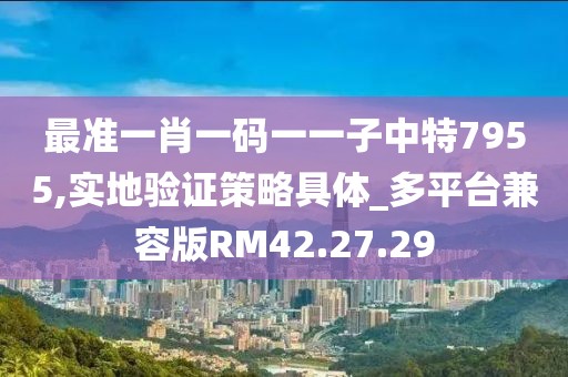 最准一肖一码一一子中特7955,实地验证策略具体_多平台兼容版RM42.27.29