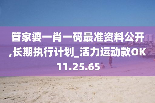 管家婆一肖一码最准资料公开,长期执行计划_活力运动款OK11.25.65