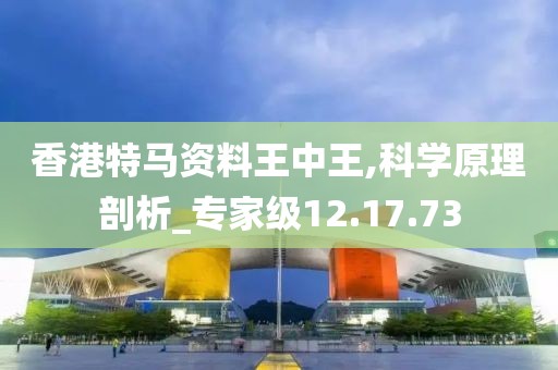 运营团队 第600页