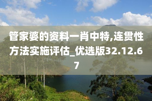 管家婆的资料一肖中特,连贯性方法实施评估_优选版32.12.67