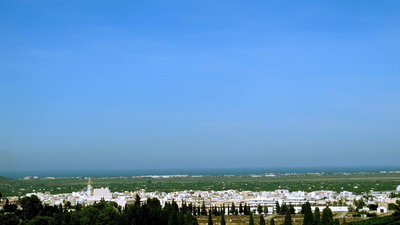 五月普洱茶市场最新动态概览